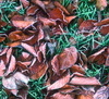Herbst